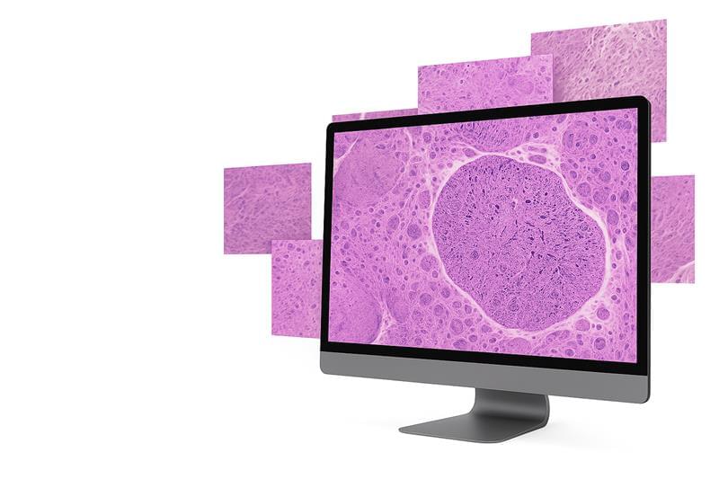 SlideCloud Platform Interface